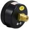 2.25" Black Rear Mount Pressure Gauge Pool Filter & Pump Accessory